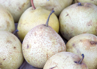 Close up on many Shin Li Asian Pears on display at Farmer's Market.