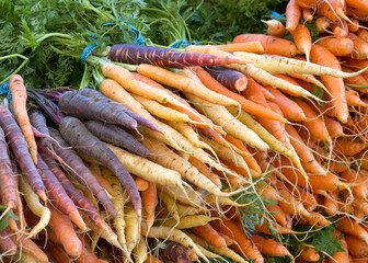 Rainbow carrots bunched with green twist ties on a table at Farmers Market. Fresh spring summer food.