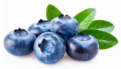 blueberry isolated blueberries top view blueberry with leaves flat lay on white background with clipping path