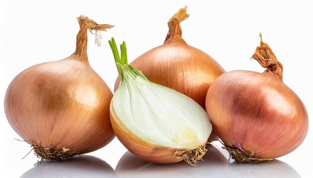 onion bulbs isolated on transparent png