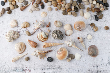Mixed colorful seashells and pebbles on grunge stone background. Seashore natural textured background.