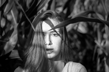 Portrait of a beautiful woman in a cornfield.