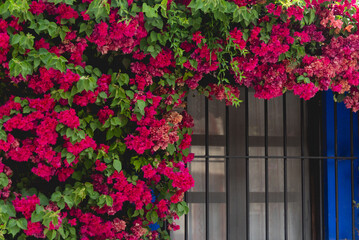 Details of the colorful streets of Tequisquiapan beautiful rustic town in Queretaro, Mexico