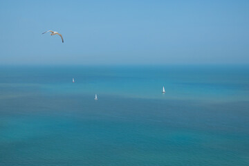 Serene seascape view with sailing boats and flying seagull on a clear sunny day