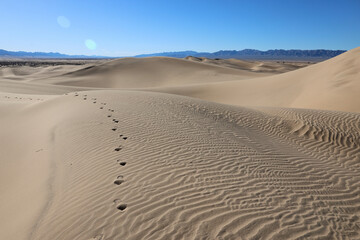 footprints across the sand dunes in the desert