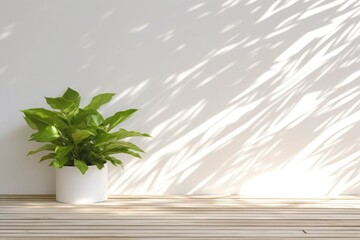 Minimalistic light background with blurred foliage shadow on a light wall. background with green branch or plant
