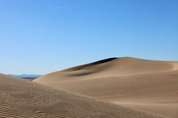 Fototapeta na wymiar sand dune in a remote desert oasis