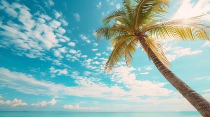 Fototapeta na wymiar Palm tree on tropical beach with blue sky and white clouds abstract background, copy space of summer vacation and business travel concept.