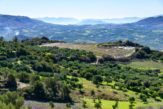 Unique panoramic aerial view of Archanes rural region real world landscape. Green meadows, hills, mountains, olive tree groves, and vineyards, in spring. Heraklion, Crete, Greece.