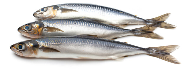 Fototapeta premium A group of fresh herrings isolated on a white background. This image features raw fish, seafood, marine life, and healthy nutrition