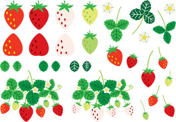 いちご・葉っぱ・花　イラストセット