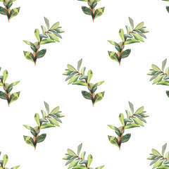 Seamless pattern watercolor green leaf of on white background. Hand-drawn summer wild plant foliage. For decor. Botanical nature art for sticker tea wallpaper wrapping textile kitchen