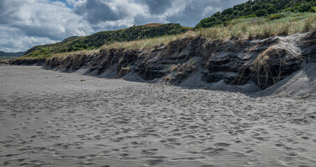 Erosion of Coastal Sand Dunes at Muriwai Beach, New Zealand