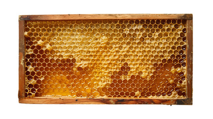 A Beehive Overflowing With Abundant Honey