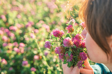 Womans face and red clover flowers in the rays of the sun in a clover field. Collection of red...
