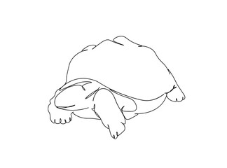Turtle Single Line Drawing Ai, EPS, SVG, PNG, JPG zip file