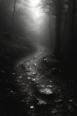A dramatic creepy haunted path in a dark misty forest with fog. - obrazy, fototapety, plakaty
