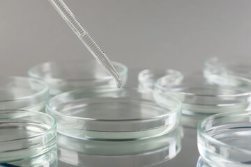 Dripping liquid from pipette into petri dish on mirror surface against grey background, closeup