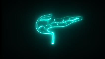 Neon pancreas. Pancreas has both endocrine and exocrine function. This produces so much alkaline fluid.