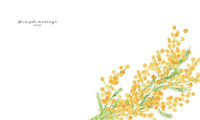 水彩画。水彩タッチのミモザイラスト。ミモザのベクター背景イラスト。春のミモザフレーム。Watercolor painting. Mimosa illustration with watercolor touch. Mimosa vector background illustration. Spring mimosa frame.