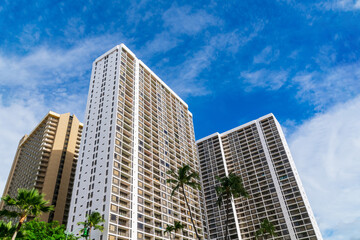 Fototapeta na wymiar Exterior view of modern high rise residential buildings framed by lush palm trees