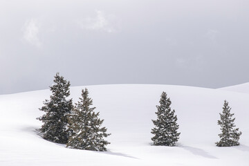 Snowy Western Scene