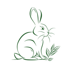 Vector line art rabbit