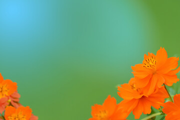 Flores naranjas con fondo verde desenfocado. Imagen tipo tarjeta con espacio negativo para reutilizar. Recurso realizado con IA