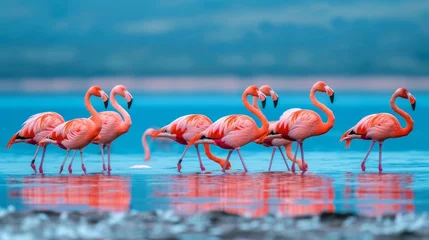 Fotobehang Vivid Pink Flamingos Wading in Shimmering Lagoon AI Generated. © AnimalAI