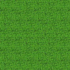 Green grass texture and Sandstone green background. Vector.
