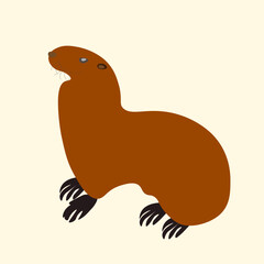 Otter vector illustration