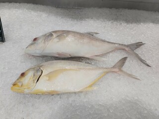 Fresh pompano on ice in supermarket. Whole fish for sale in seafood department. Close up; selective...