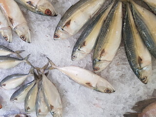 Fresh pompano on ice in supermarket. Whole fish for sale in seafood department. Close up; selective...