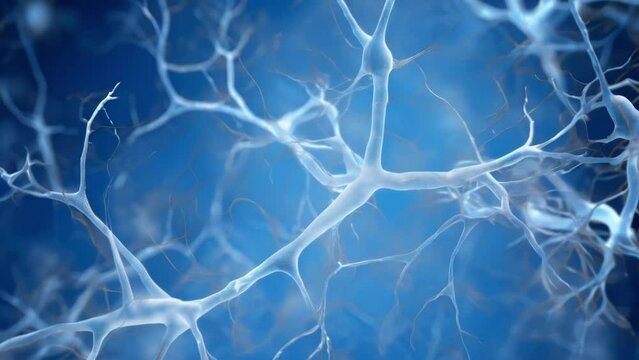 Microscopic of a dendrite, the branchlike structure that receives signals from other neurons, emphasizing the complexity of decisionmaking processes.