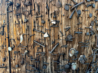 Nails Tacks Staples on Telephone Pole