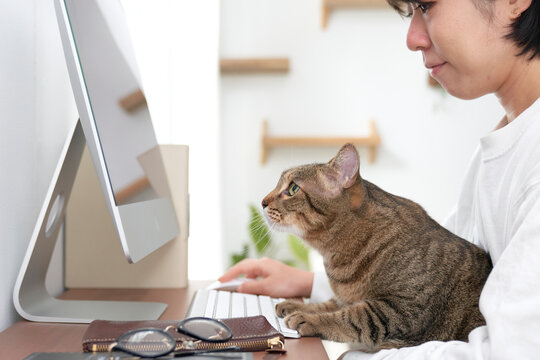 パソコンの前に座る女性と猫