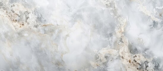 Obraz premium Elegant White and Gray Marble Pattern on Luxurious Marble Wall Background for Interior Design and Decoration