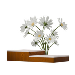 in square white daisy and wood texture, 3d render image transparent background of block shape podium
