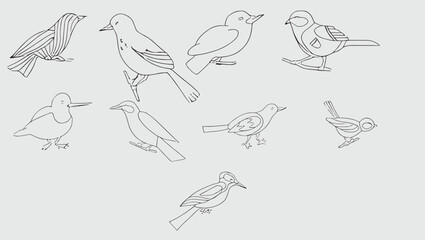 set of hand drawn birds