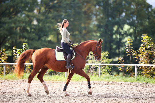 Horse woman rider riding in the sunshine at the riding arena.