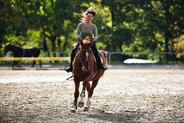 Horse woman rider riding in the sunshine at the riding arena.