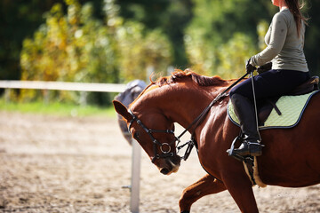 Horse woman rider riding in the sunshine at the riding arena.