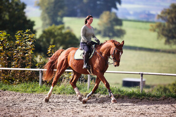 Horse woman rider riding in the sunshine at the riding arena.