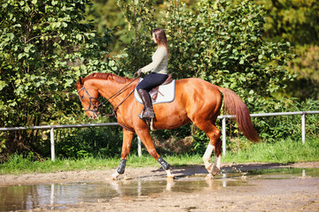 Horse woman rider riding in the sunshine at the riding arena.