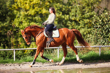 Horse woman rider riding in the sunshine at the riding arena.