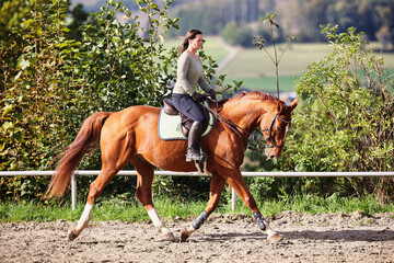 Horse woman rider riding in the sunshine at the riding arena.