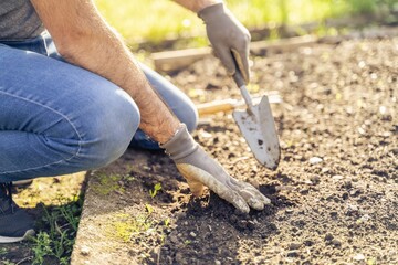 Young male farmer in jeans, sneakers and protective gloves, sitting and digging up the ground with...
