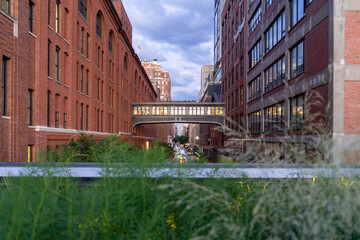 Chelsea skybridge