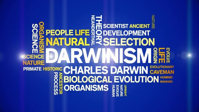 Darwinism animated tag word cloud;text design animation kinetic typography seamless loop.