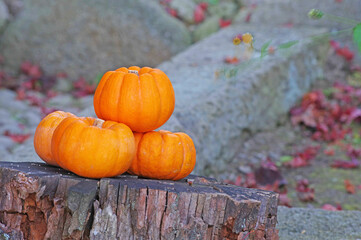 pumpkin on a table
